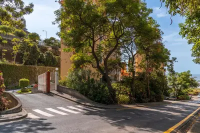 a street with a tree on the side of a road at Vista Formosa I by An Island Apart in Funchal