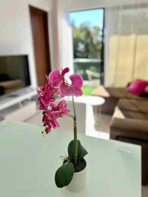 a purple flower in a white vase on a table at Santa Catarina by Olá Madeira in Funchal