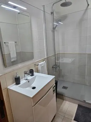 a bathroom with a sink and a shower at Apartamento Costa Norte in Porto Moniz