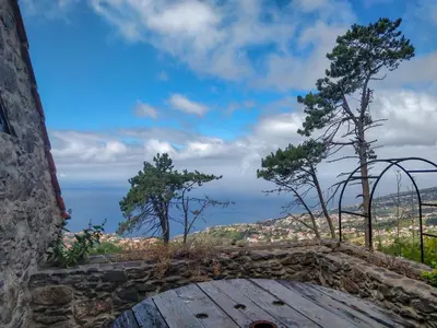 a view from the top of a building with trees at Achadinha - Mountain Cottage in Arco da Calheta