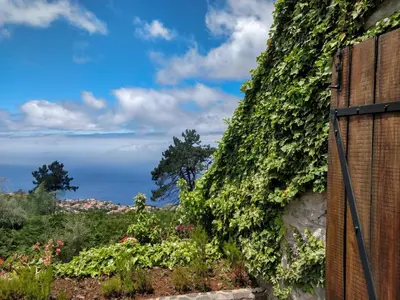 a wall covered in ivy with the ocean in the background at Achadinha - Mountain Cottage in Arco da Calheta