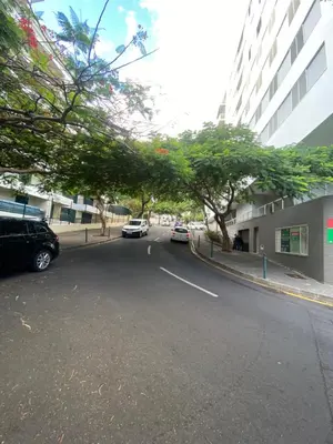 a street with cars parked on the side of the road at Apartamento Costa Do Sol V in Funchal