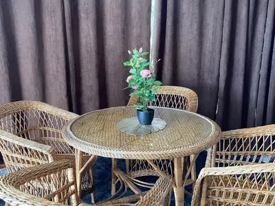 a table with a potted plant on top at Hollywood villa in Campanário