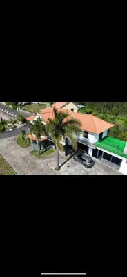 a house with a palm tree in front of it at Hollywood villa in Campanário