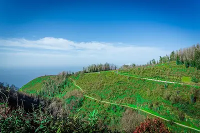 a green hill with a dirt road on it at Home Thomas in Lombada dos Marinheiros
