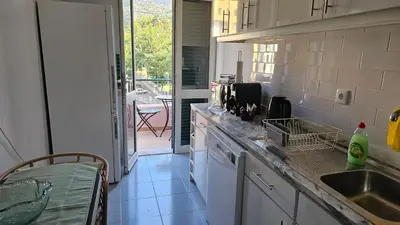 a kitchen with a sink and a counter top at Garden and Seaview Apartment - Free Parking in Funchal