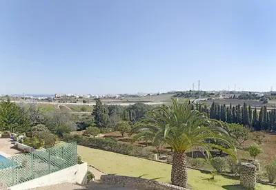 a palm tree sitting on top of a lush green field at LGS32V5 moradia grande conforto, lugar sossegado in Lagos