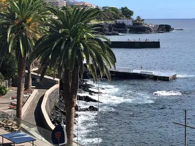 a view of a body of water with palm trees at Beach Studio Apartment in Funchal