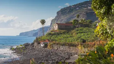 a house on a hill next to the ocean at Neves GuestLoft by Madeira Holiday Rentals in Ribeira Brava