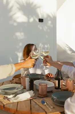 a group of people sitting at a table drinking wine at Villa Beatriz Ocean View in Aljezur