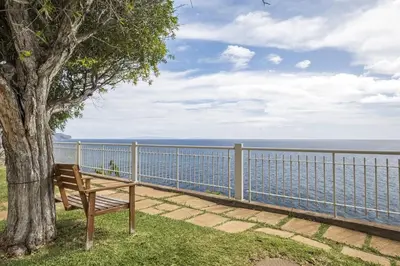a wooden bench sitting under a tree next to a fence at Central Lido Apartment by Homie in Funchal