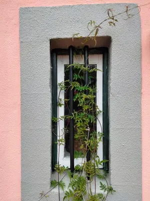 a window on a pink and white building with a plant at Quartos privados - Quinta da Paz in Santa Cruz