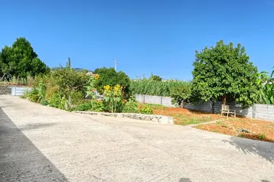 an empty road in a garden with trees and flowers at Casa Primavera, a Home in Madeira in Ponta do Sol