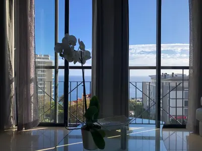 a room with a window with a view of the ocean at Forum Ocean View Apartment in Funchal