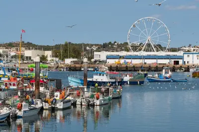 a bunch of boats docked in a harbor with a ferris wheel at Porto de Mos 86 by Destination Algarve in Lagos