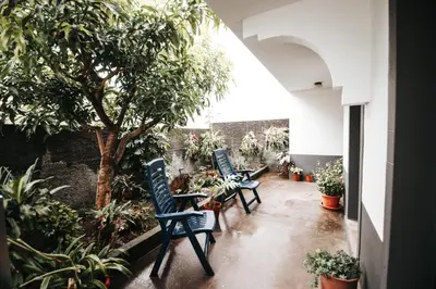 three blue chairs sitting on a patio with plants at Casa da Avo Rosa in São Vicente