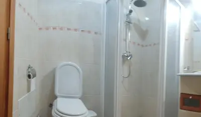 a bathroom with a white toilet and a shower at Brisas do Atlántico in Porto Moniz