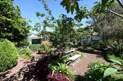 a white bench sitting in the middle of a garden at Casa do Ribeirinho in Porto Moniz