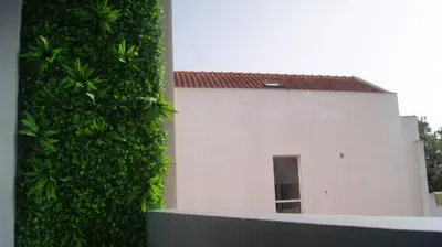 a green wall next to a white building with a doorway at Studio no centro do Funchal in Funchal