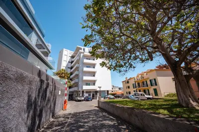 a street in a city with a tree and buildings at Jasmineiro Mar - Ocean View Studio in Funchal