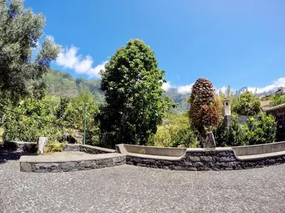 a view of a garden with trees and bushes at Mountain View Villa in São Vicente