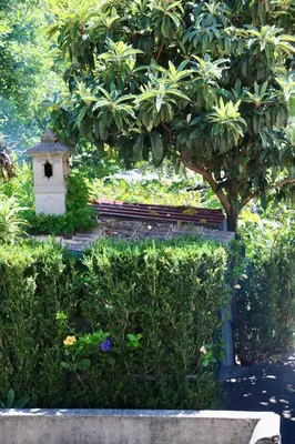 a bird house sitting on top of some bushes at Mountain View Villa in São Vicente
