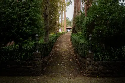 a dirt path in a park with trees and plants at BIO Hotel - Hotel Quinta da Serra in Estreito de Câmara de Lobos