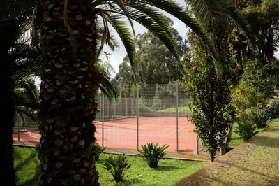 a palm tree in front of a tennis court at BIO Hotel - Hotel Quinta da Serra in Estreito de Câmara de Lobos