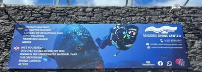 a sign on a wall with a bear on it at Lua do Mar in Caniço