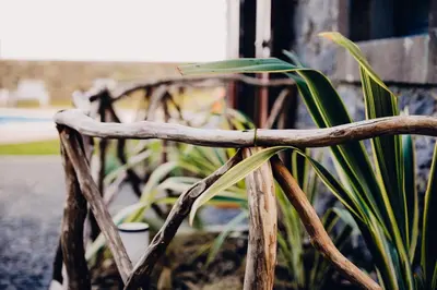 a wooden bench with a plant in front of it at Casas do Calhau Miúdo - Seixal in Seixal