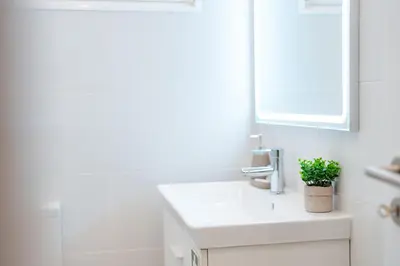 a bathroom sink with a potted plant on it at Os Fragosinhos II by Amazing Madeira in Funchal