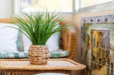 a potted plant sitting on top of a wicker table at GuestReady - Varanda de belas lembranças in Funchal