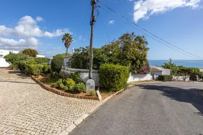 a street with bushes and trees on the side of a road at Casa Coruja in Luz