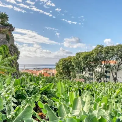 Villa Rosa
