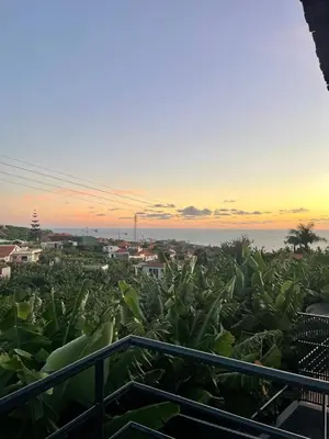 a field of corn with the sunset in the background at Madeiran Sweet Home in Funchal