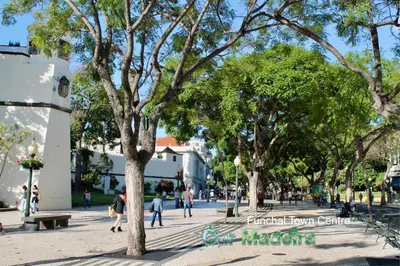 a park with trees and people walking on a sidewalk at OurMadeira - BelleVeva in Funchal