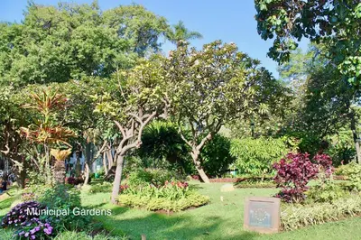 a garden with trees and flowers in a park at OurMadeira - BelleVeva in Funchal