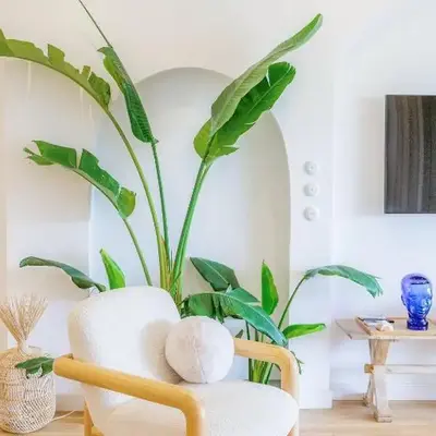 Ocean Studio by ENDLESS SUN I modern comfort