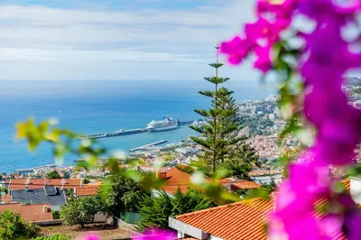 a view of a city with a ship in the water at Ana's Place in Funchal