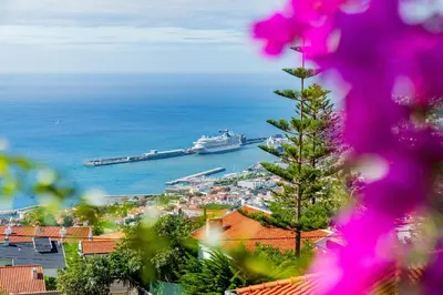 a cruise ship is docked in a harbor at Ana's Place in Funchal