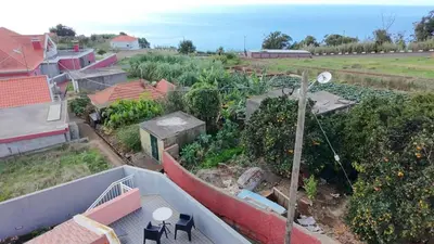 an overhead view of a garden on a roof at The Cozy Pink House in Ponta do Sol