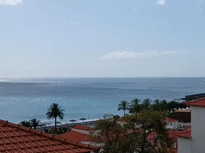 a view of a beach with palm trees and the ocean at Casa da Vila in Santa Cruz