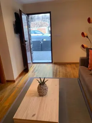 a living room with a potted plant on a coffee table at Cozy chalet with ocean view in Seixal