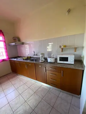 a kitchen with a sink and a microwave at Maria Holiday House in São Jorge