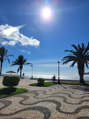 a walkway with palm trees on the beach at Maison avec vue exceptionnelle sur l'océan - 5 mn du centre ville in Santa Cruz