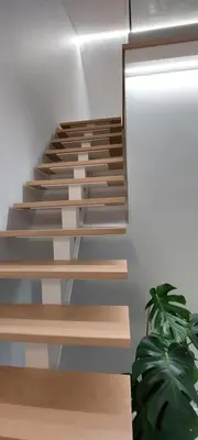 a set of wooden stairs with a potted plant at Seven in Funchal