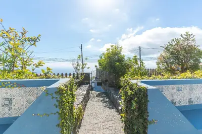 a garden with blue walls and vines at Casa da Horta by Atlantic Holiday in Santa Cruz