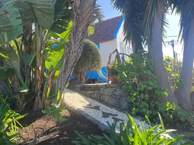 a house with a palm tree and a stone path at Lucky Lemons - Boutique Houses Madeira - 2 in Estreito da Calheta