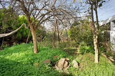 a garden with trees and green grass and rocks at Casa Do Lenhador in Canhas