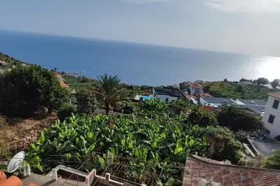 a view of the ocean from a hill with trees at Sunny Rooftop & perfect view in Arco da Calheta